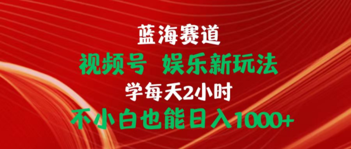 （10818期）蓝海赛道视频号 娱乐新玩法每天2小时小白也能日入1000+-77云网创