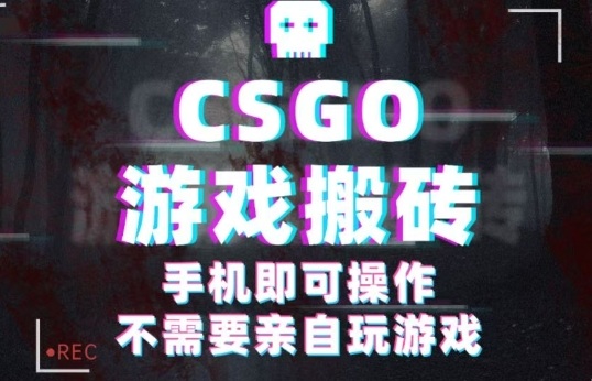 CSGO游戏挂G捡漏，单日扫货5张+，年底小高峰上车可吃肉，手机即可操作，兼职副业创业网创【揭秘】-77云网创