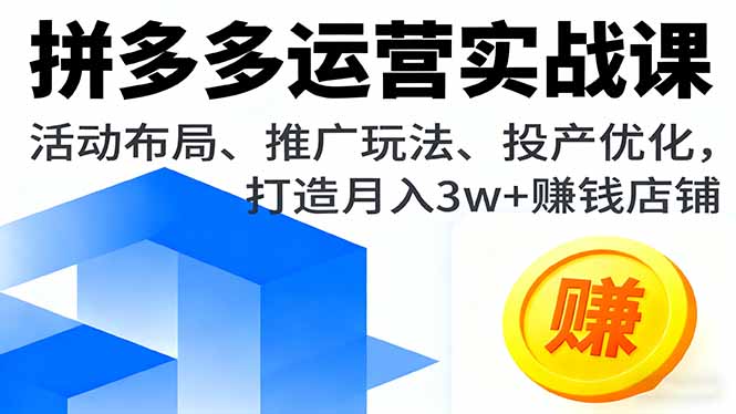 拼多多运营实战课，活动布局、推广玩法、投产优化，打造月入3w+赚钱店铺-77云网创