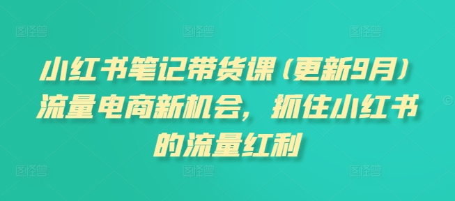 小红书笔记带货课(更新25年9月)流量电商新机会，抓住小红书的流量红利-77云网创